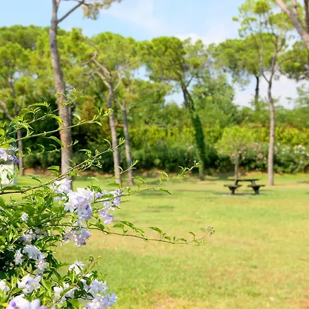 Appartement Azzurro Bilo Quattro Terra Padenghe sul Garda
